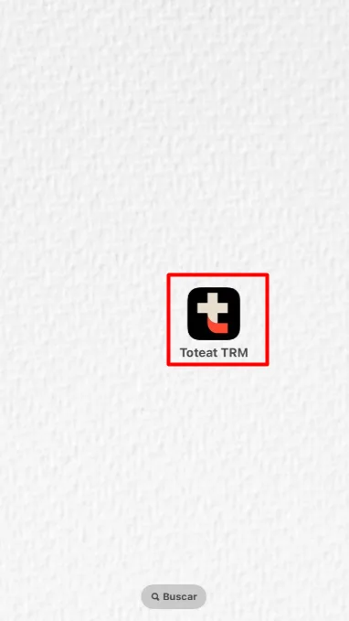 toteat-en-celular-o-tablet-img-8 icono toteat en menu de celular